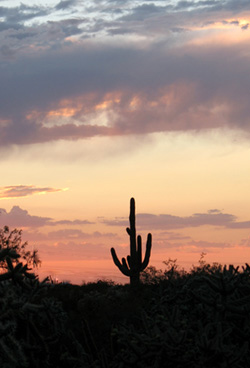 Civano Sunset, Tucson Civano Sunset, Tucson
